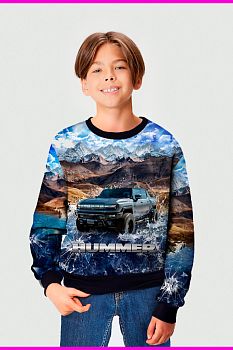 Свитшот "Hummer",коричневый
