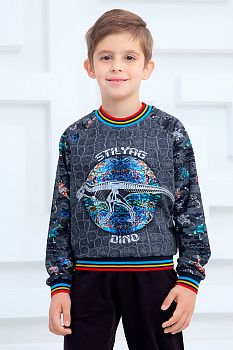 Свитшот "Титан",антрацитовый